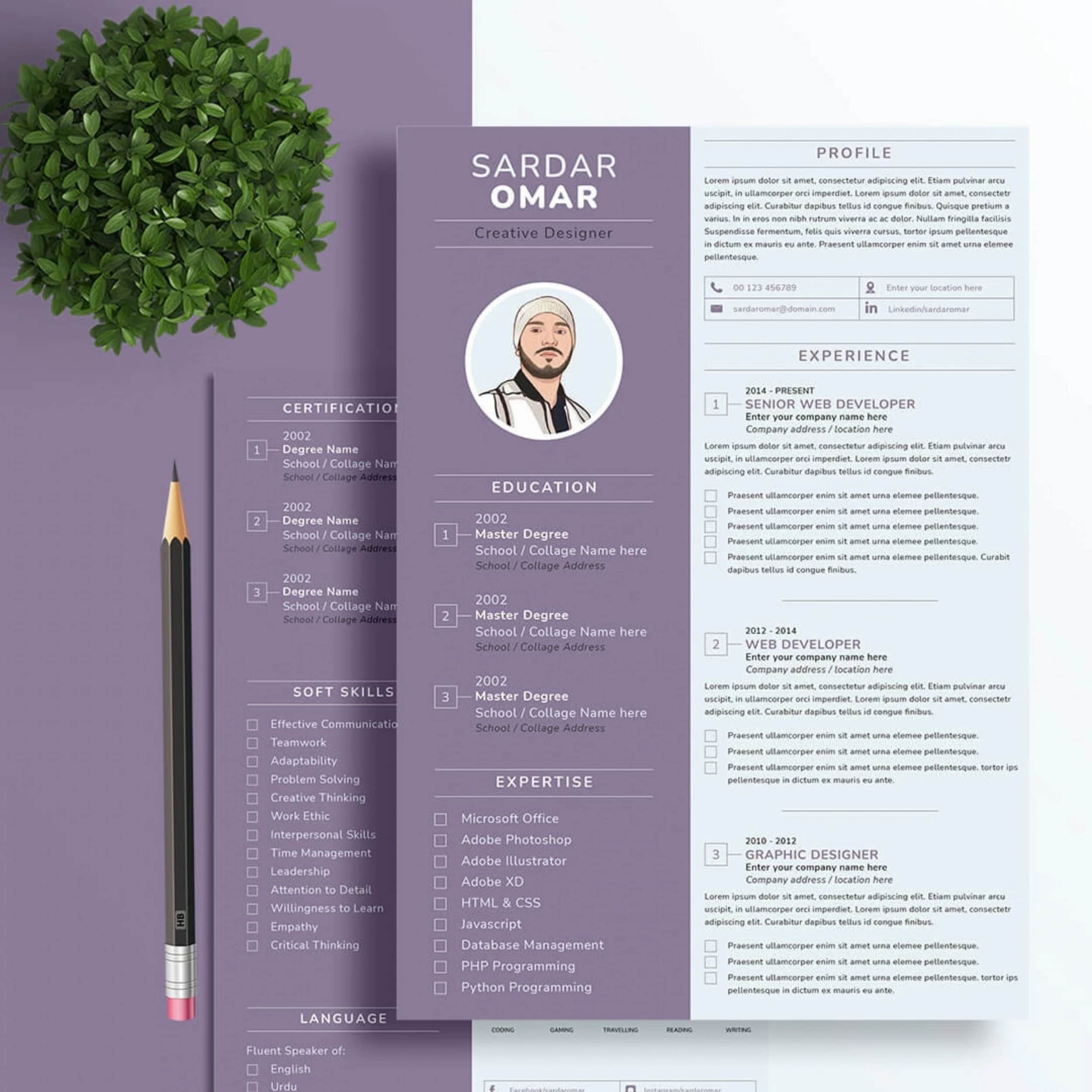 Resume / CV Writing portfolio example 2