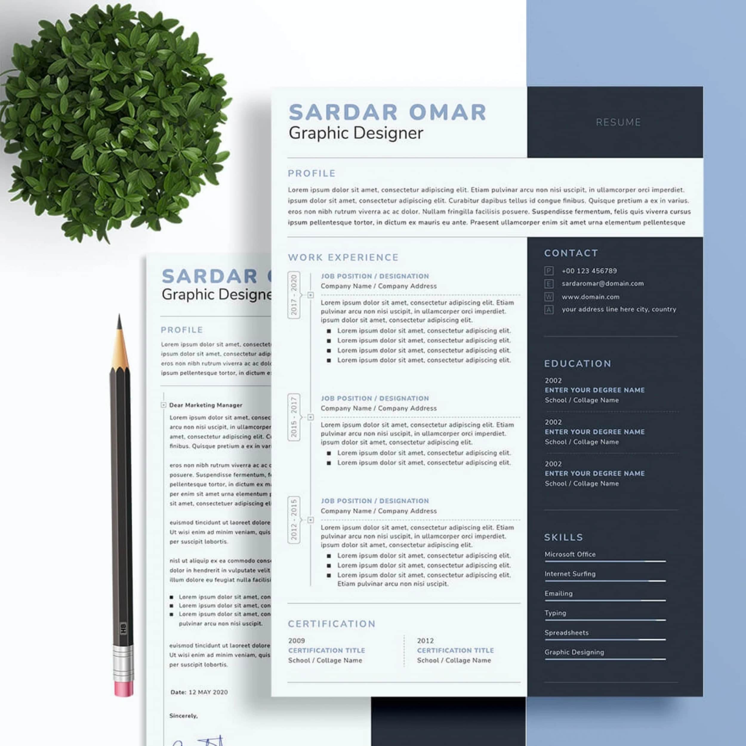 Resume / CV Writing portfolio example 4