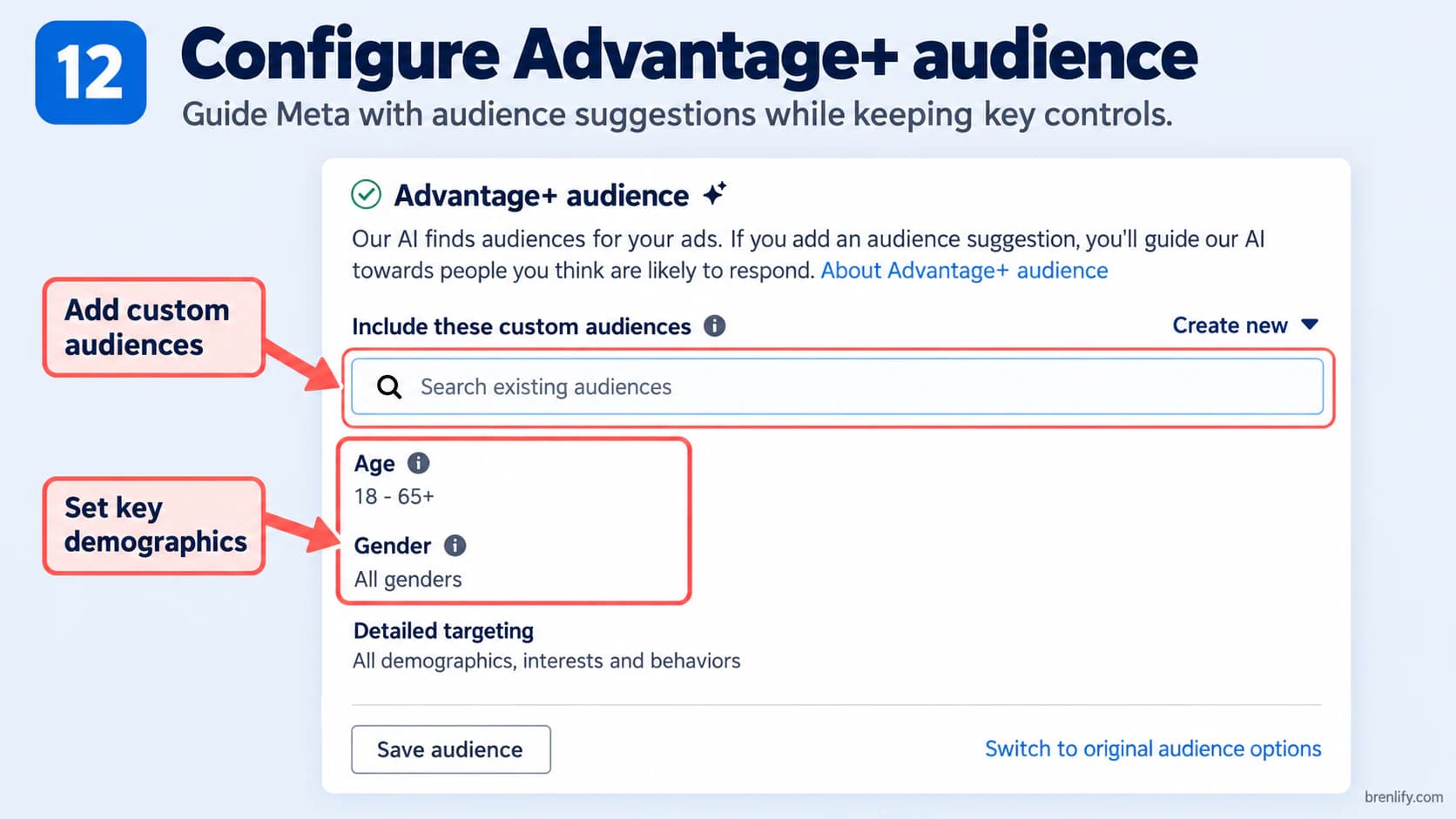 Step 12 showing Advantage+ audience, custom audiences and demographic suggestions