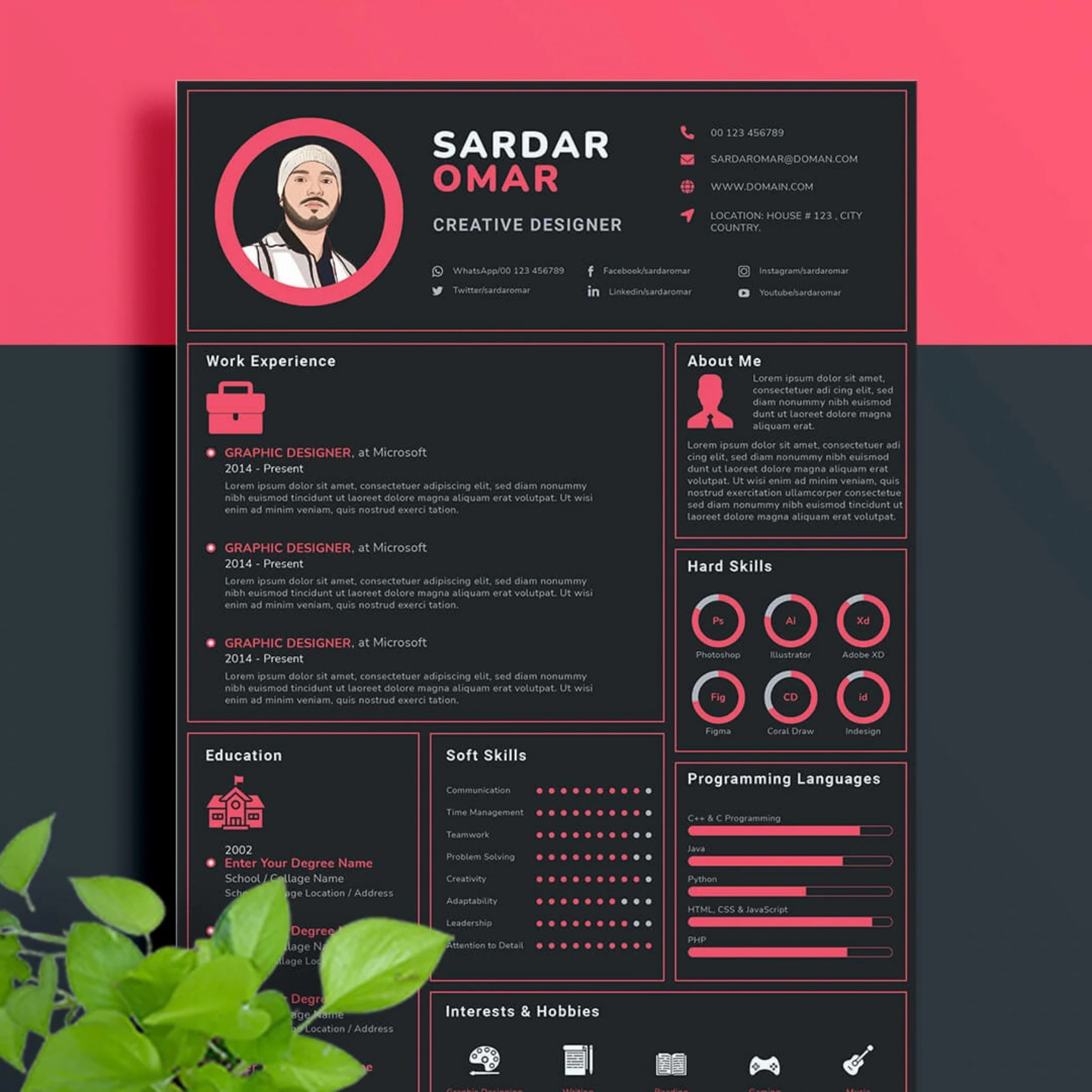Resume / CV Design portfolio example 4