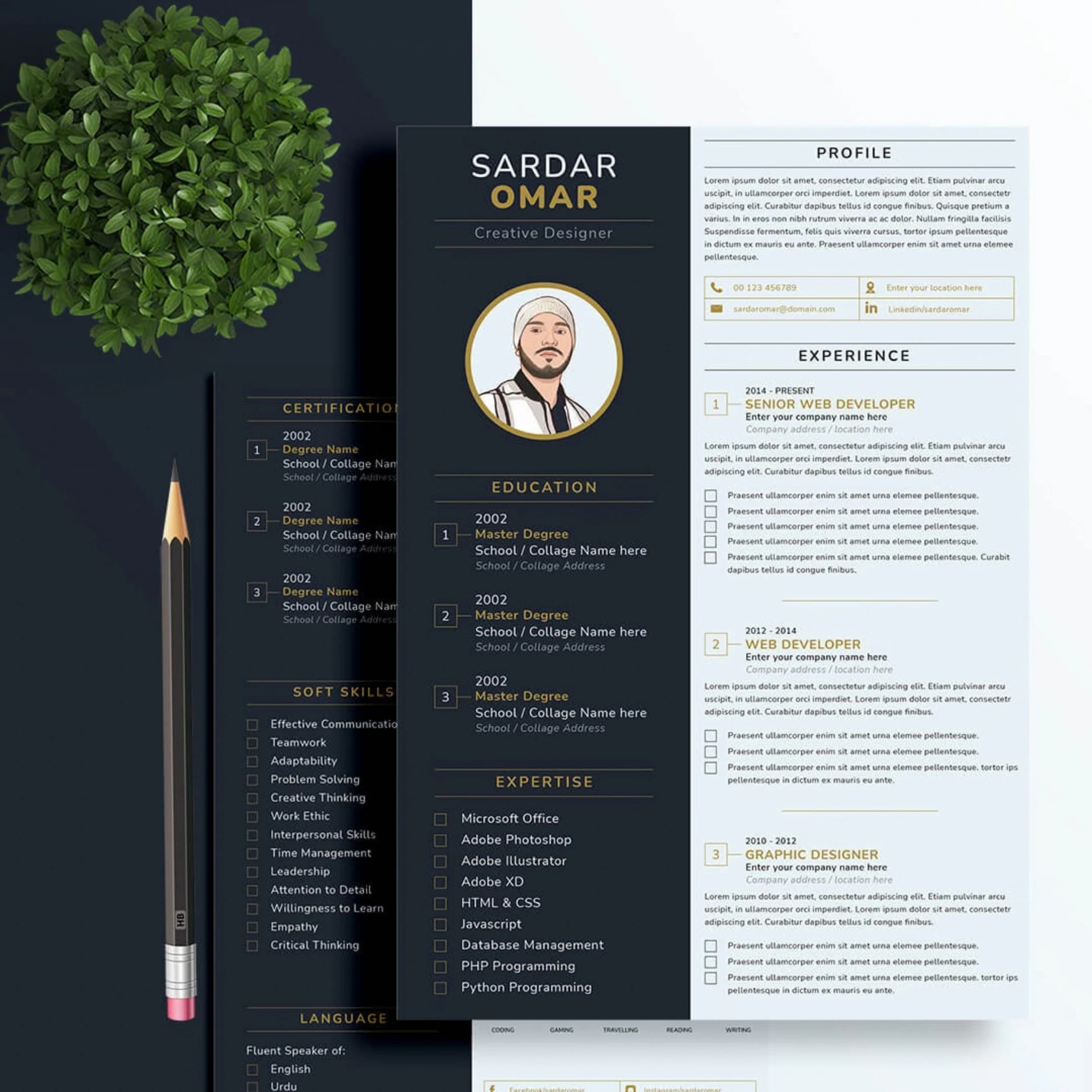 Resume / CV Writing portfolio example 3