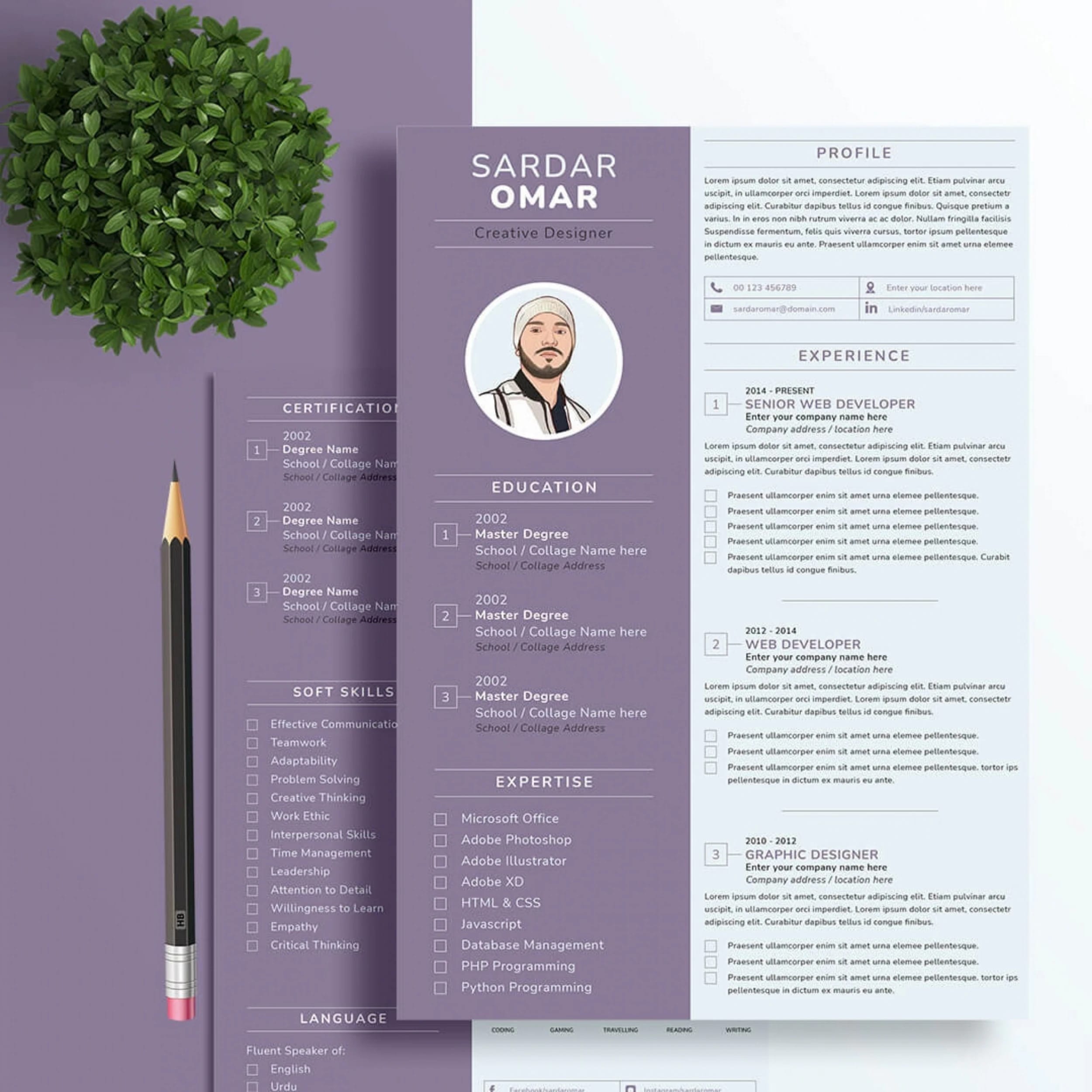 Resume / CV Writing portfolio example 2