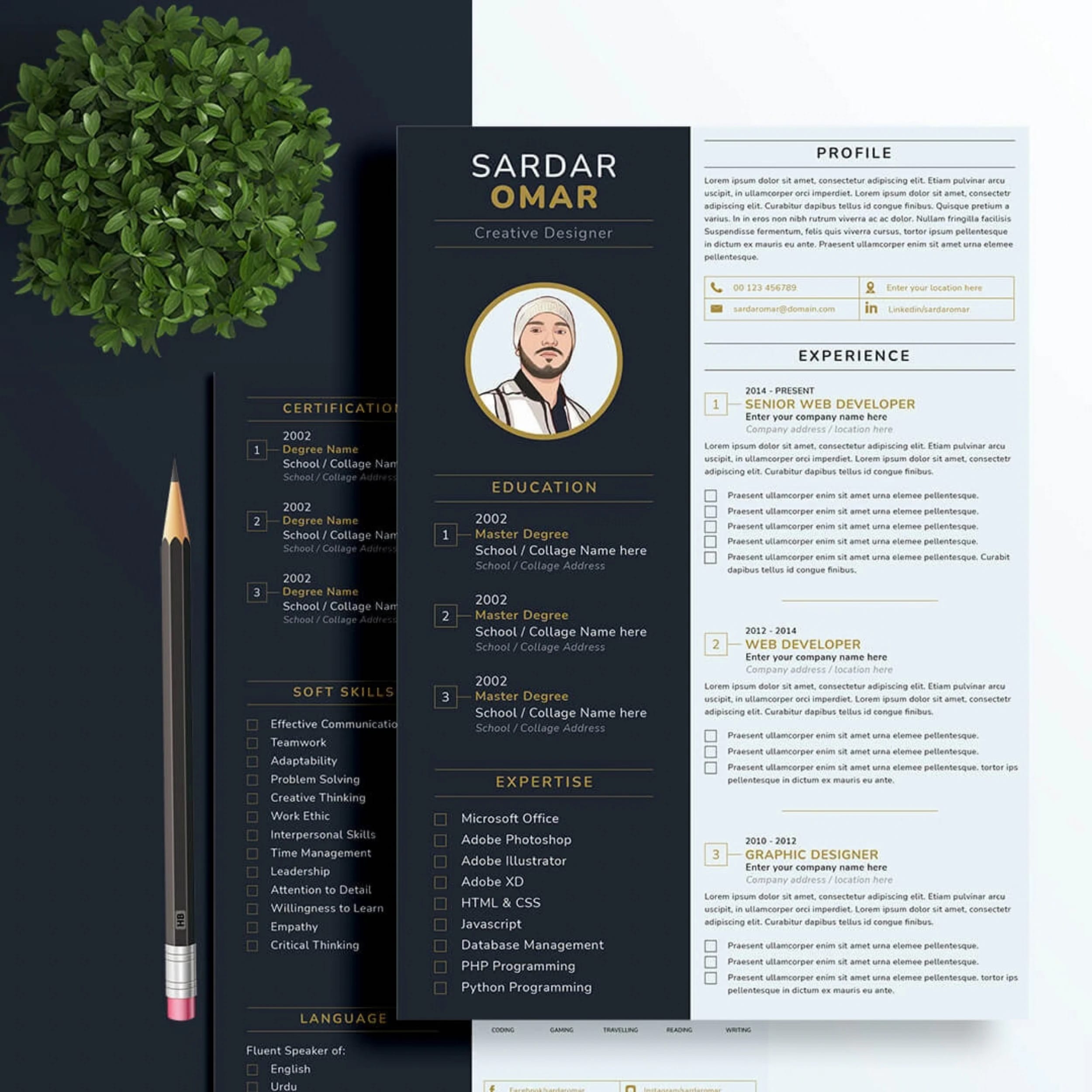 Resume / CV Writing portfolio example 3